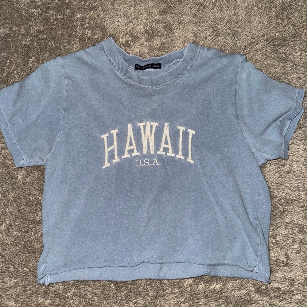 Hawaii USA Blue T-Shirt